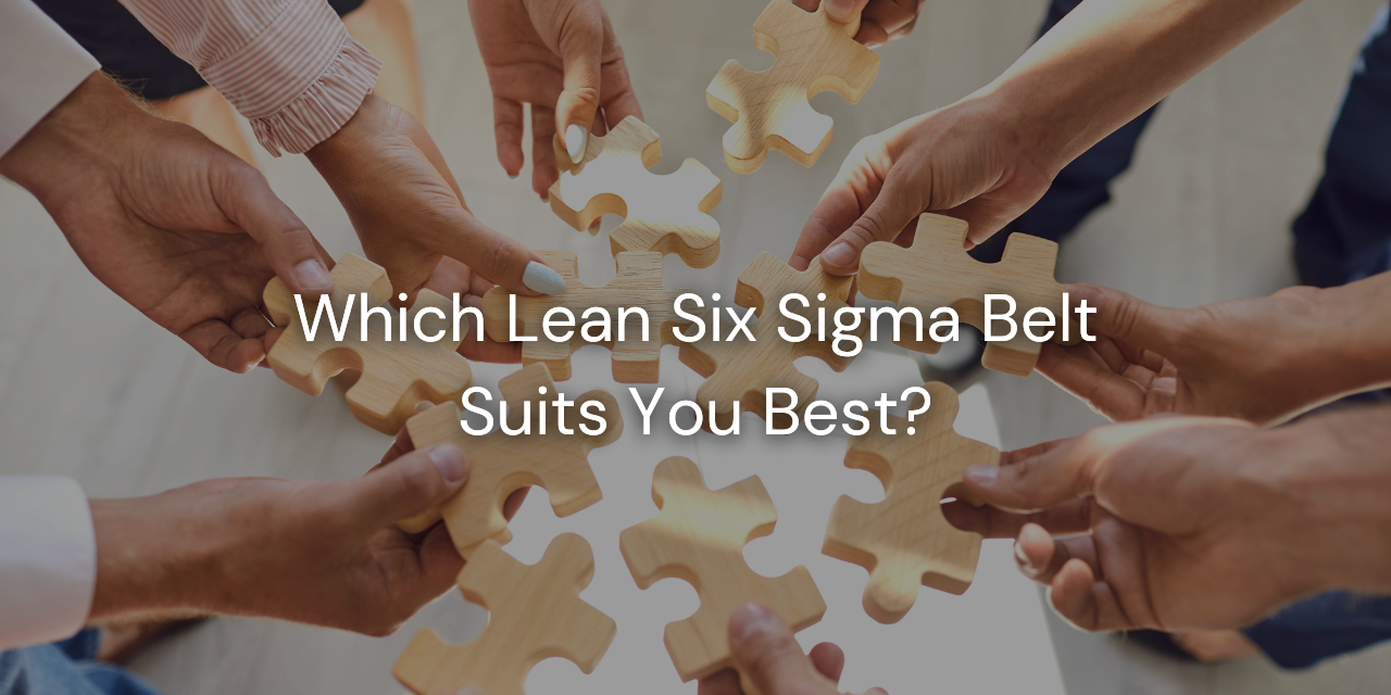 Which Lean Six Sigma Belt Suits You Best