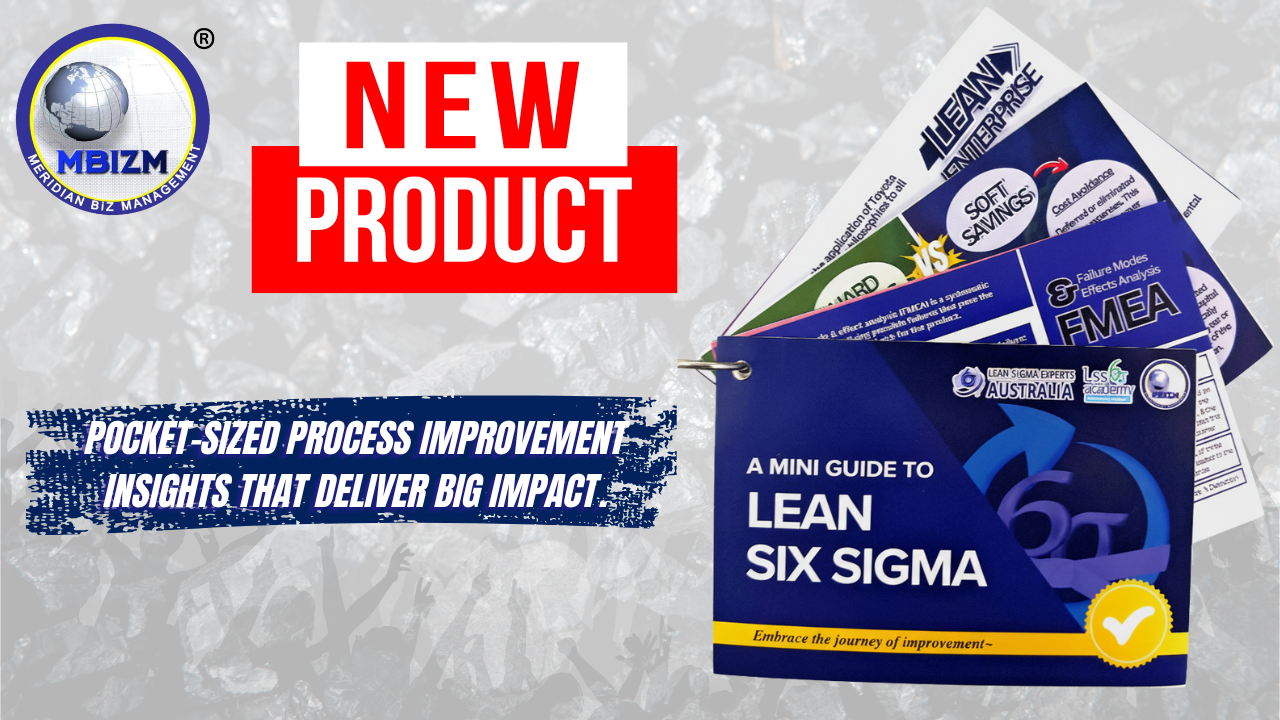 MBizM Lean Six Sigma flashcards pilot edition banner