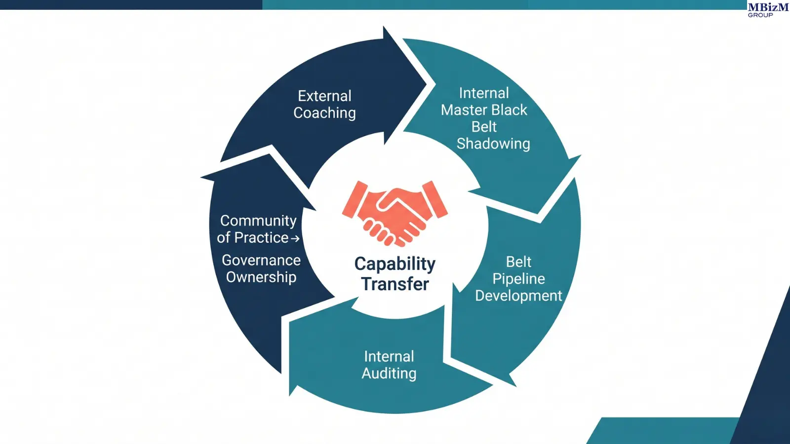 Capability transfer cycle showing external partner handover to internal Master Black Belt, belt development pipeline, internal auditing, community of practice, and governance ownership
