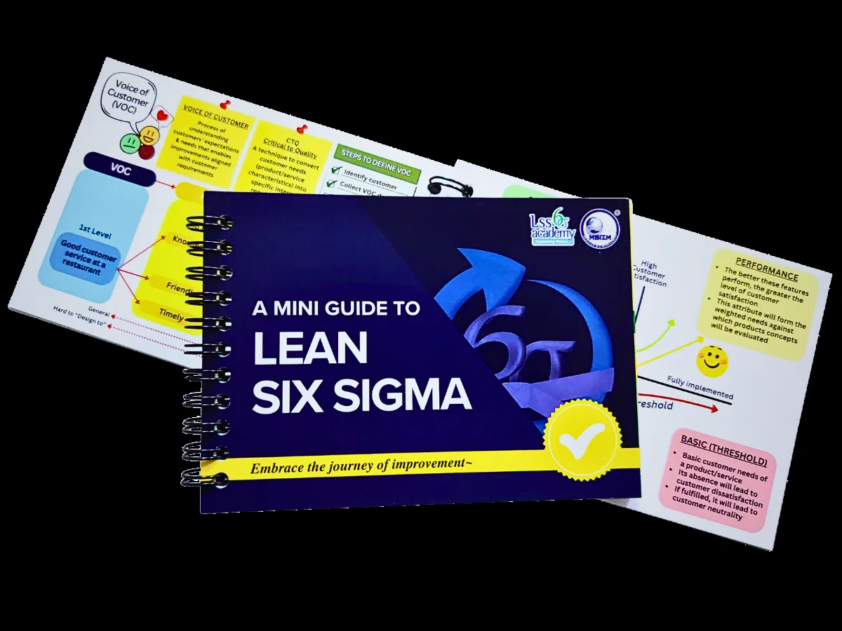 MBizM Lean Six Sigma Flashcards: Voice of Customer Cards MBizM Lean Six Sigma flashcards showing Voice of Customer and Kano model reference cards